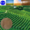 Animal Source Amino Acid Powder for Fertilizer